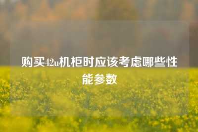 购买42u机柜时应该考虑哪些性能参数