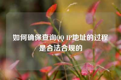 如何确保查询QQ IP地址的过程是合法合规的