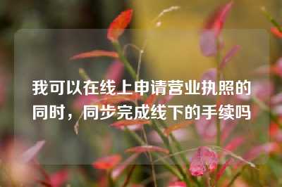 我可以在线上申请营业执照的同时，同步完成线下的手续吗