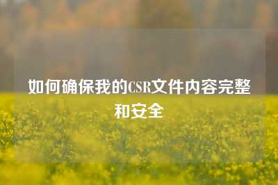 如何确保我的CSR文件内容完整和安全