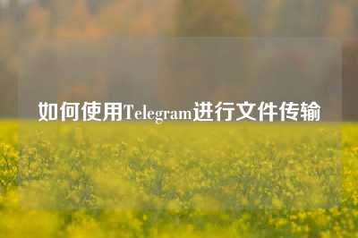 如何使用Telegram进行文件传输
