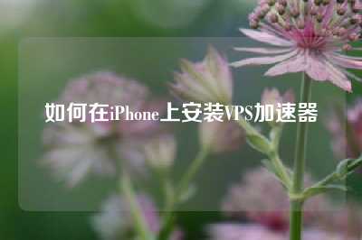 如何在iPhone上安装VPS加速器