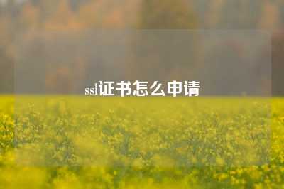 ssl证书怎么申请