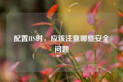 配置IIS时，应该注意哪些安全问题
