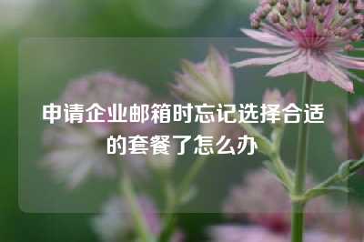 申请企业邮箱时忘记选择合适的套餐了怎么办