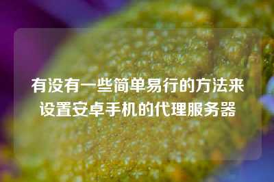 有没有一些简单易行的方法来设置安卓手机的代理服务器