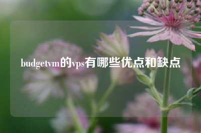 budgetvm的vps有哪些优点和缺点