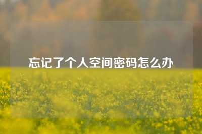 忘记了个人空间密码怎么办