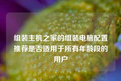 组装主机之家的组装电脑配置推荐是否适用于所有年龄段的用户