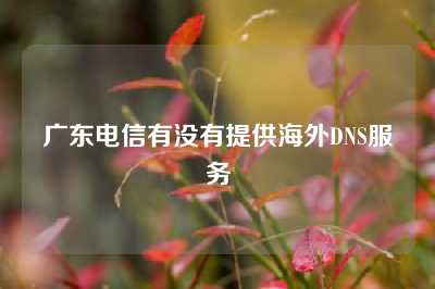 广东电信有没有提供海外DNS服务
