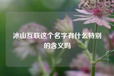 冰山互联这个名字有什么特别的含义吗