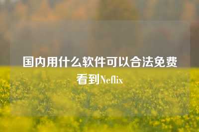 国内用什么软件可以合法免费看到Neflix
