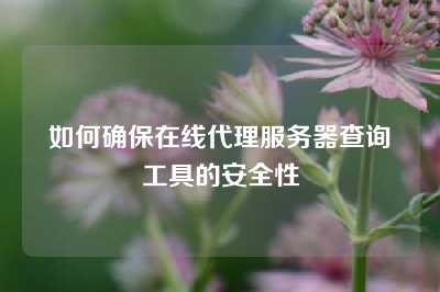 如何确保在线代理服务器查询工具的安全性