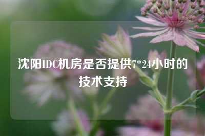 沈阳IDC机房是否提供7*24小时的技术支持