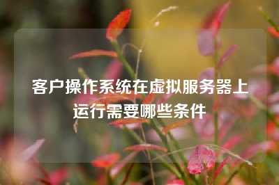 客户操作系统在虚拟服务器上运行需要哪些条件