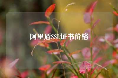 阿里盾SSL证书价格