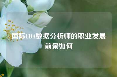 国际CDA数据分析师的职业发展前景如何