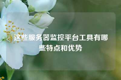 这些服务器监控平台工具有哪些特点和优势