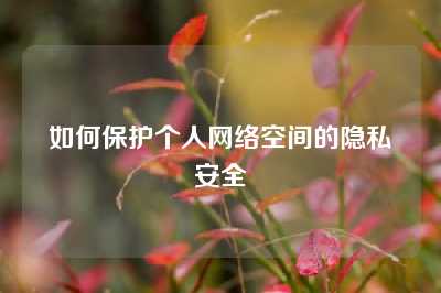 如何保护个人网络空间的隐私安全