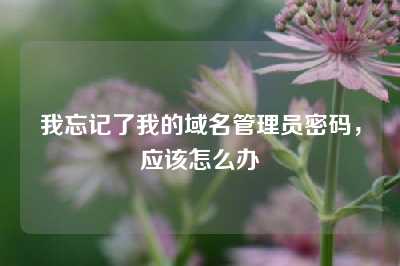 我忘记了我的域名管理员密码，应该怎么办