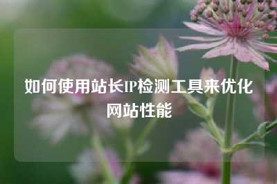 如何使用站长IP检测工具来优化网站性能