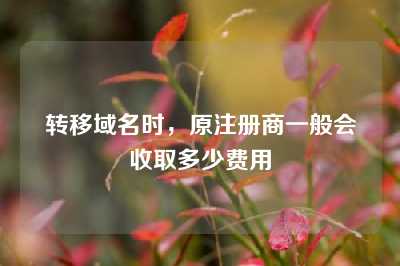 转移域名时，原注册商一般会收取多少费用