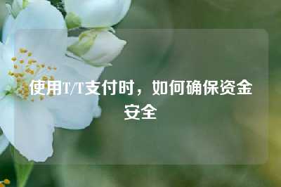 使用T/T支付时，如何确保资金安全