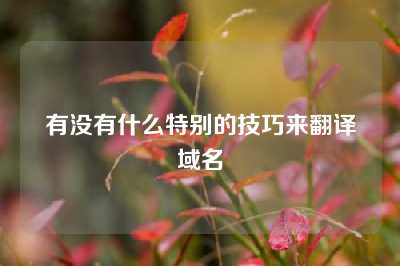 有没有什么特别的技巧来翻译域名