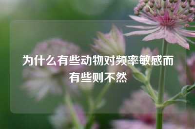 为什么有些动物对频率敏感而有些则不然