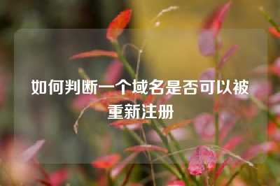 如何判断一个域名是否可以被重新注册