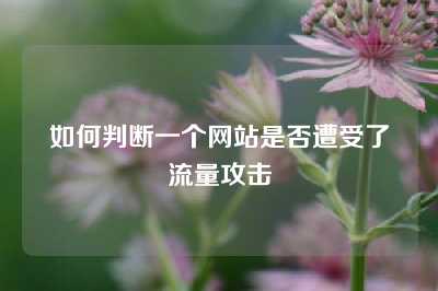 如何判断一个网站是否遭受了流量攻击