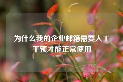 为什么我的企业邮箱需要人工干预才能正常使用
