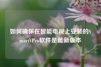 如何确保在智能电视上安装的SmartVPro软件是最新版本