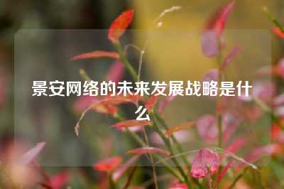 景安网络的未来发展战略是什么
