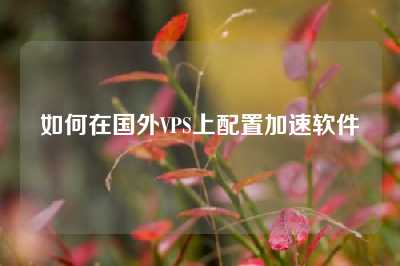 如何在国外VPS上配置加速软件