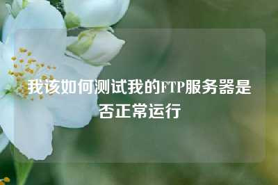 我该如何测试我的FTP服务器是否正常运行