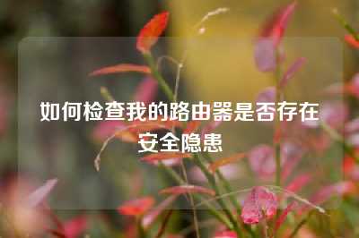 如何检查我的路由器是否存在安全隐患