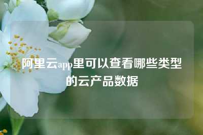 阿里云app里可以查看哪些类型的云产品数据