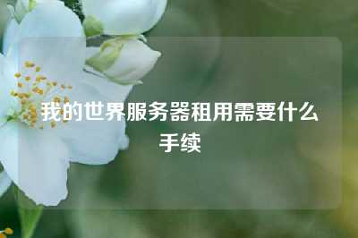 我的世界服务器租用需要什么手续