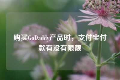 购买GoDaddy产品时，支付宝付款有没有限额