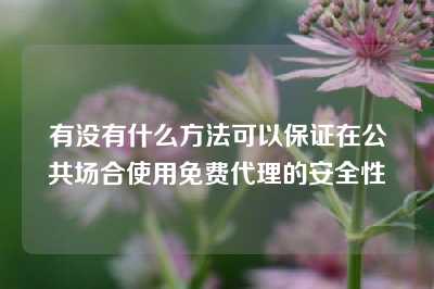 有没有什么方法可以保证在公共场合使用免费代理的安全性