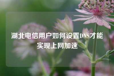 湖北电信用户如何设置DNS才能实现上网加速