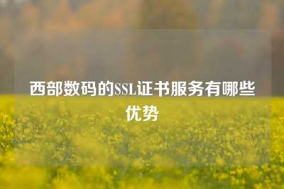 西部数码的SSL证书服务有哪些优势