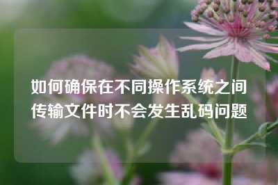 如何确保在不同操作系统之间传输文件时不会发生乱码问题