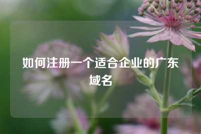如何注册一个适合企业的广东域名