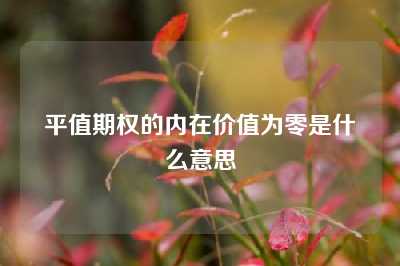 平值期权的内在价值为零是什么意思