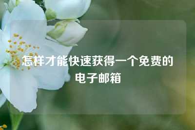 怎样才能快速获得一个免费的电子邮箱