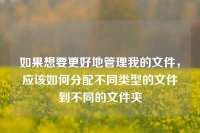 如果想要更好地管理我的文件，应该如何分配不同类型的文件到不同的文件夹