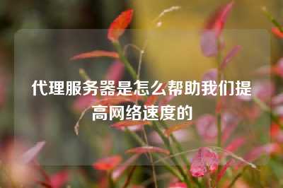 代理服务器是怎么帮助我们提高网络速度的
