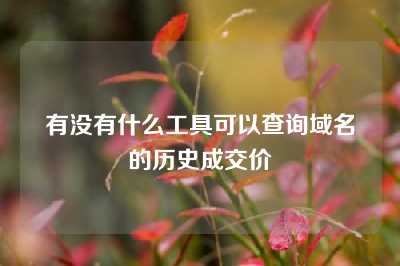 有没有什么工具可以查询域名的历史成交价